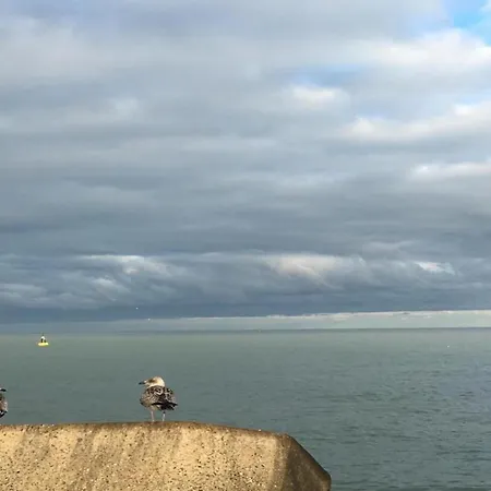 Studio In Ostend With Stunning Sea Views, Cleaning Included Ostenda
